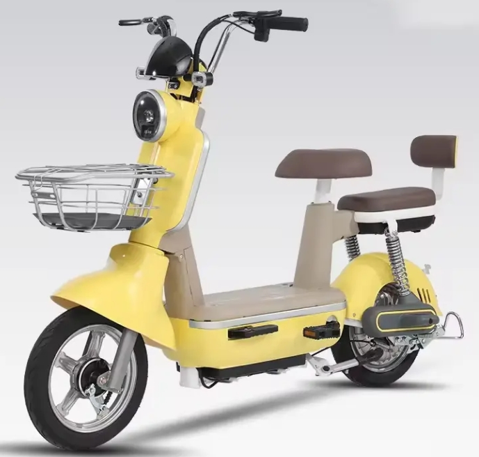 Popular Electric Bicycle Fat-Tire Electric Bike Designed for Adult