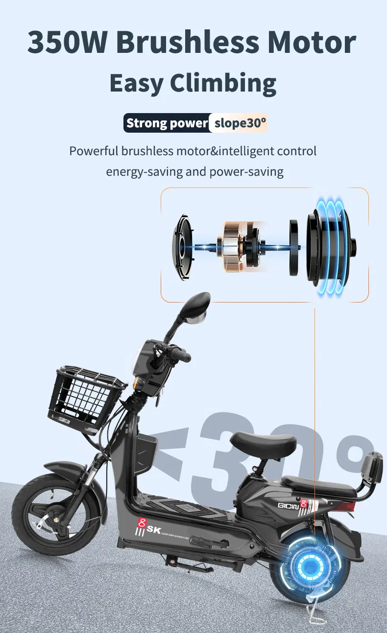 Electric Bike Details 3