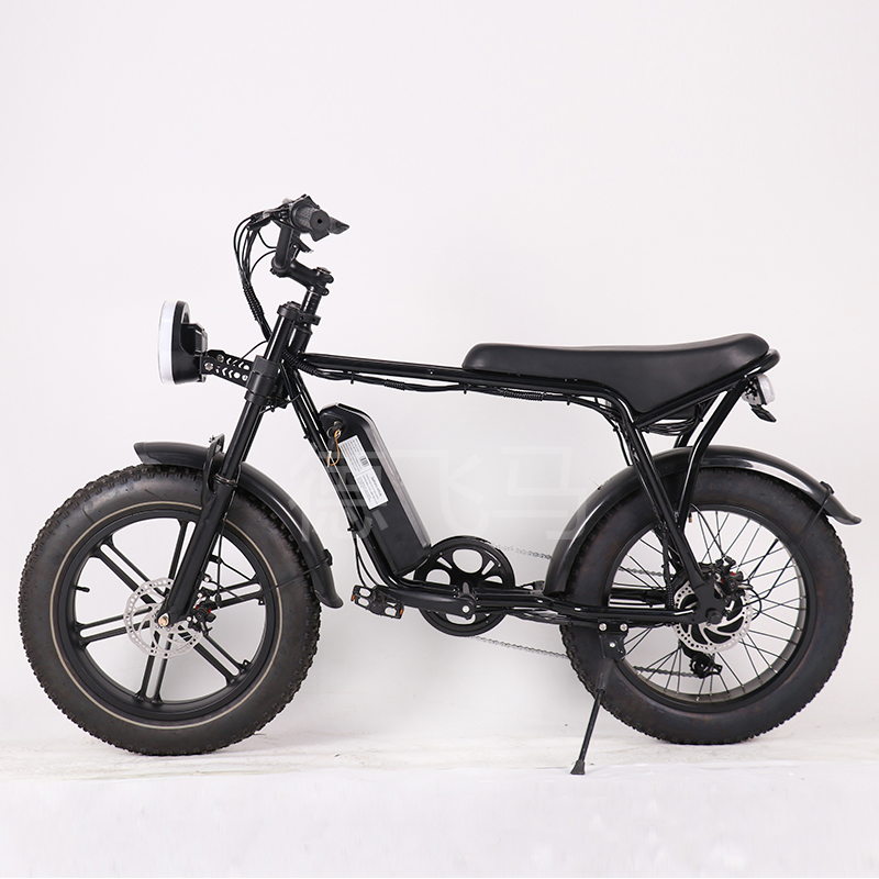 Luxury Electric Fat Tyre Dirt Road Beach Moped Bike E Bike Bicycle