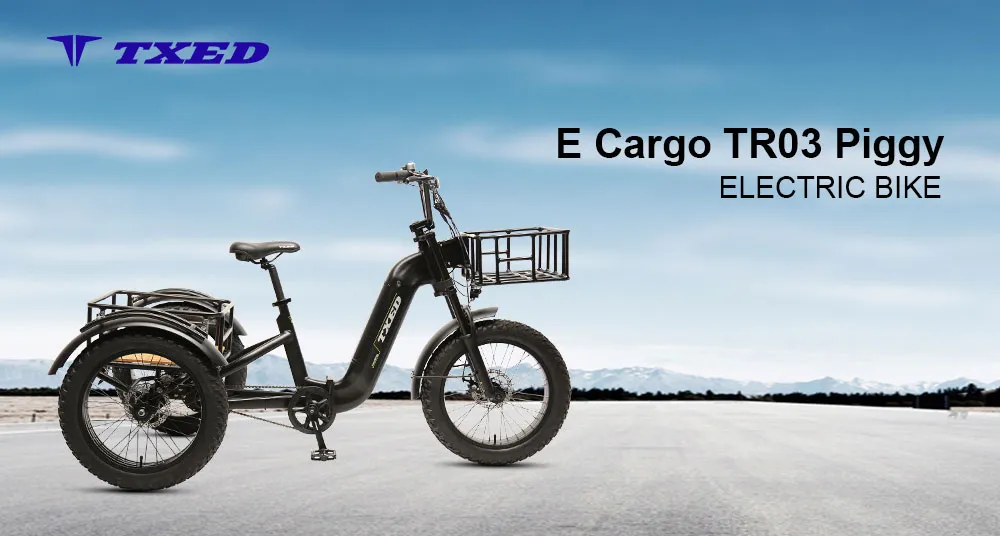 Aluminum Frame Electric 3-Wheel Cargo Bike