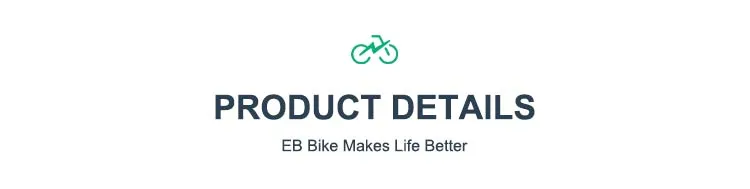 E-bike Performance