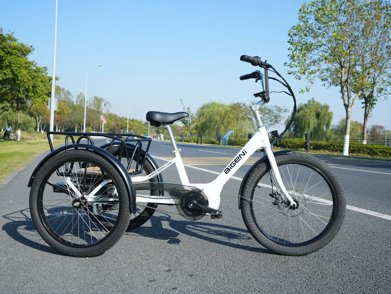 Custom Logo E Cargo Tricycle Wholesale Price Three Wheel Electric Tricycle 500W 750W Electric Bike Cargo Ebike Agn7084