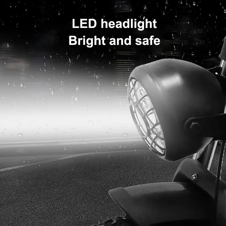 Electric Bike View 5