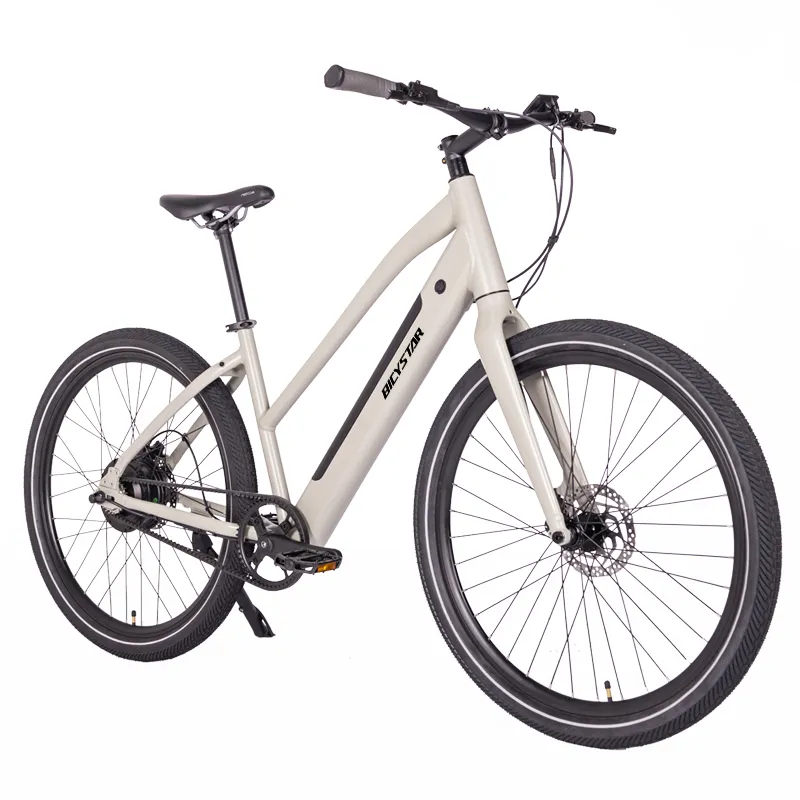 Electric Mountain Bike