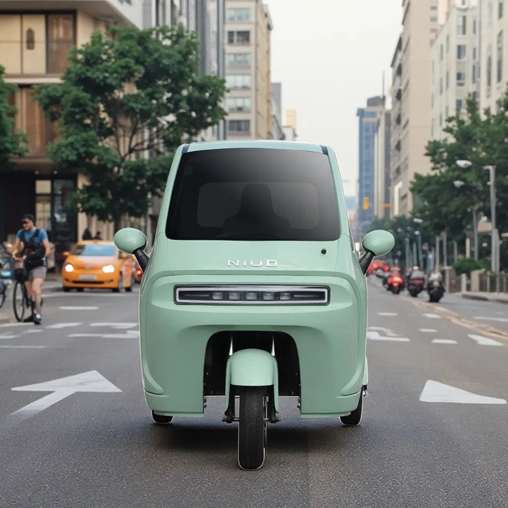Electric Adult Tricycle Side View