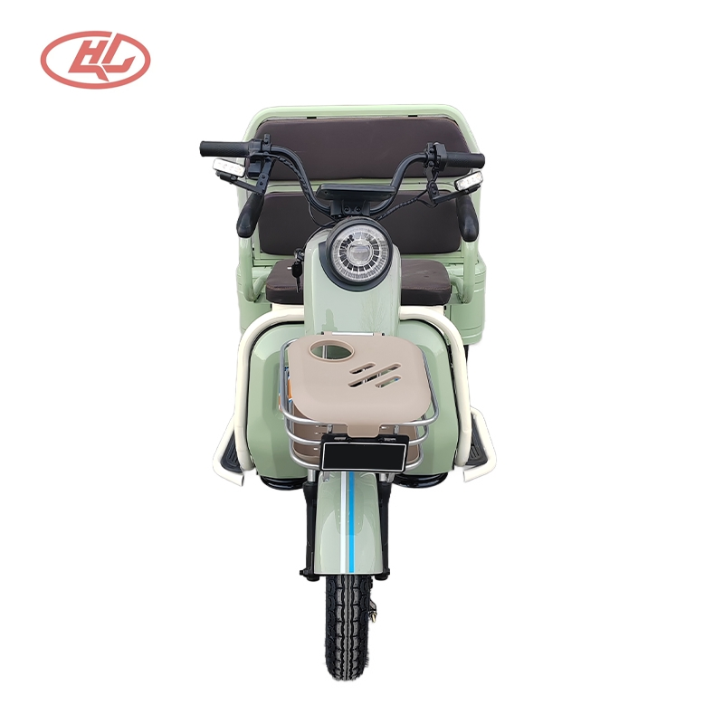 Casual Style, Family Car, Sightseeing Cargo Dual-Purpose Electric Vehicle, Freight Trike
