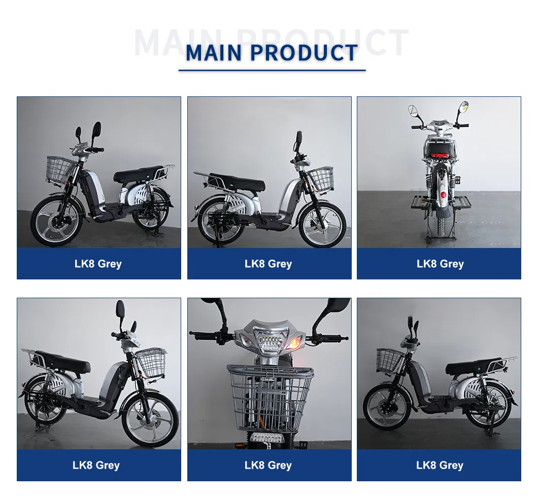 Heavy Duty Delivery Electric Bike