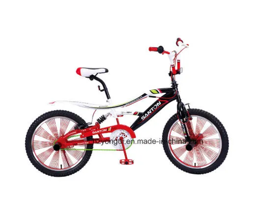 20 inch BMX Freestyle Bike