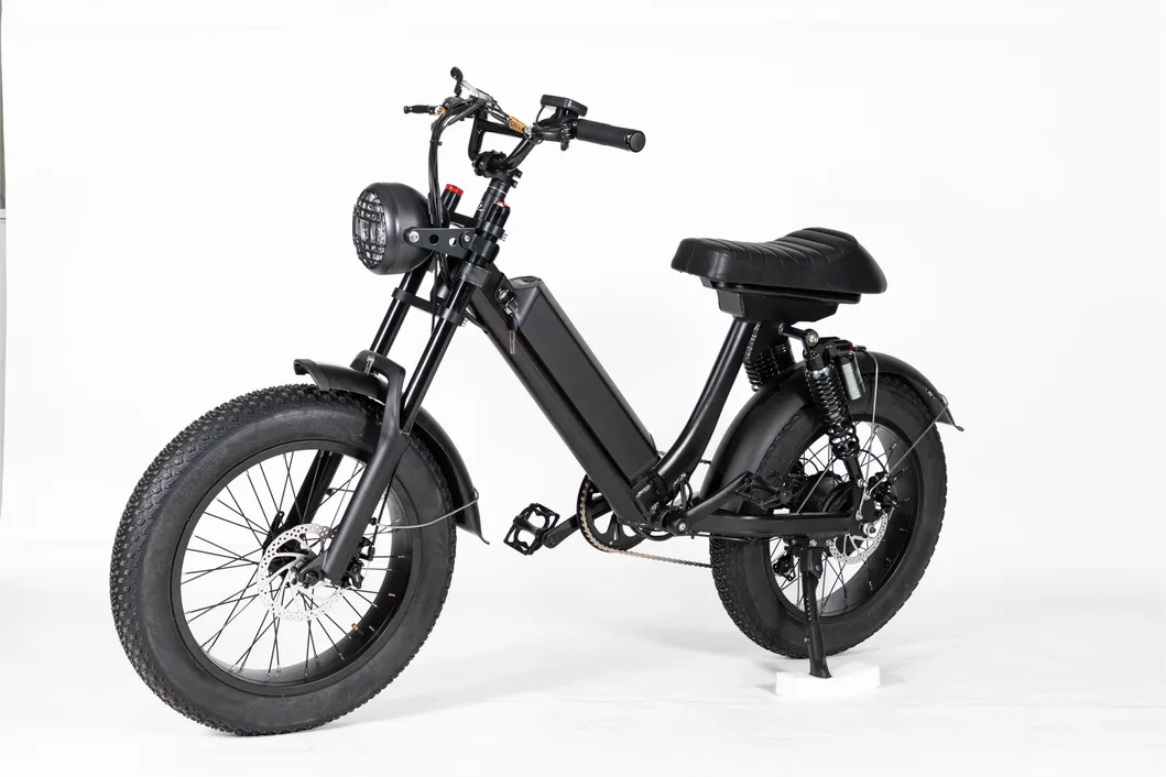 Electric Bike Photo 2
