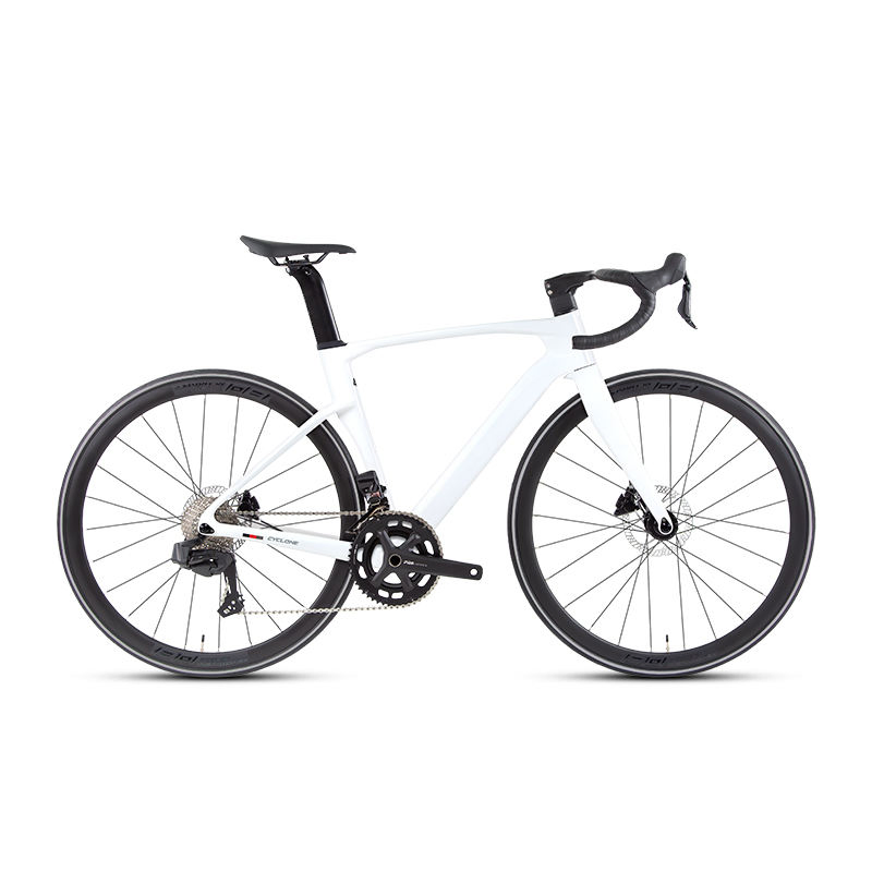 Twitter Road Bike Gravel V3 12 Speed Carbon Fiber Disc Brake