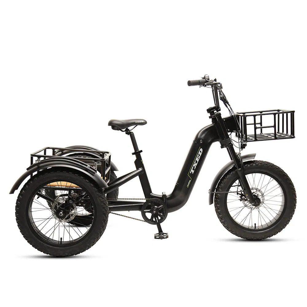 Txed Hot Sellinq 20"Inch Aluminum Frame Electric 3-Wheel Cargo Bike 48V 15ah Lithium Battery Powered Electric Tricycles