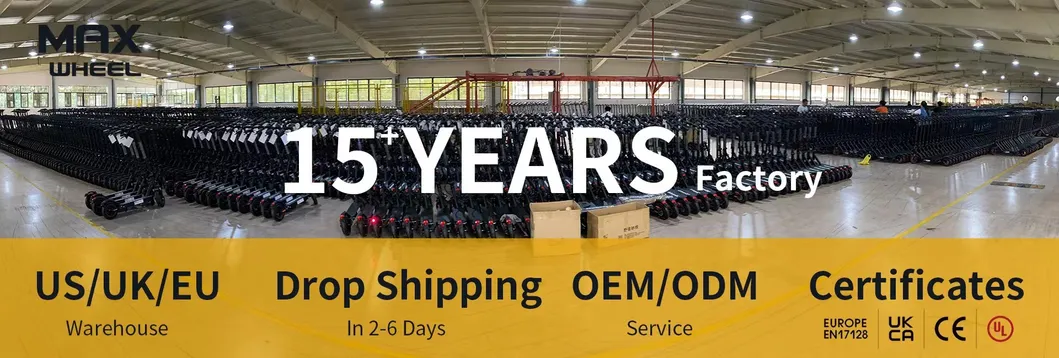 Portable Electric Scooter