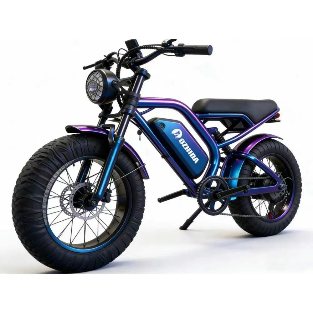 Motorcycle Dirt Electric Bike 20 Inch Fat Tire Ebike with 500W 48V/15ah Lithium Battery