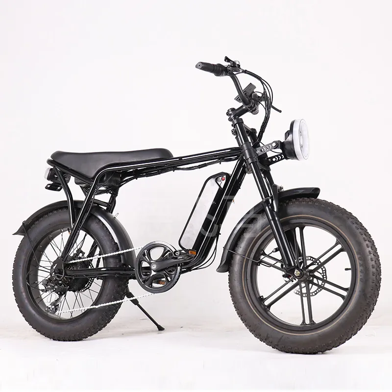 E-Bike View 2