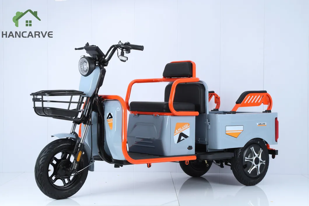 Electric Cargo Trike