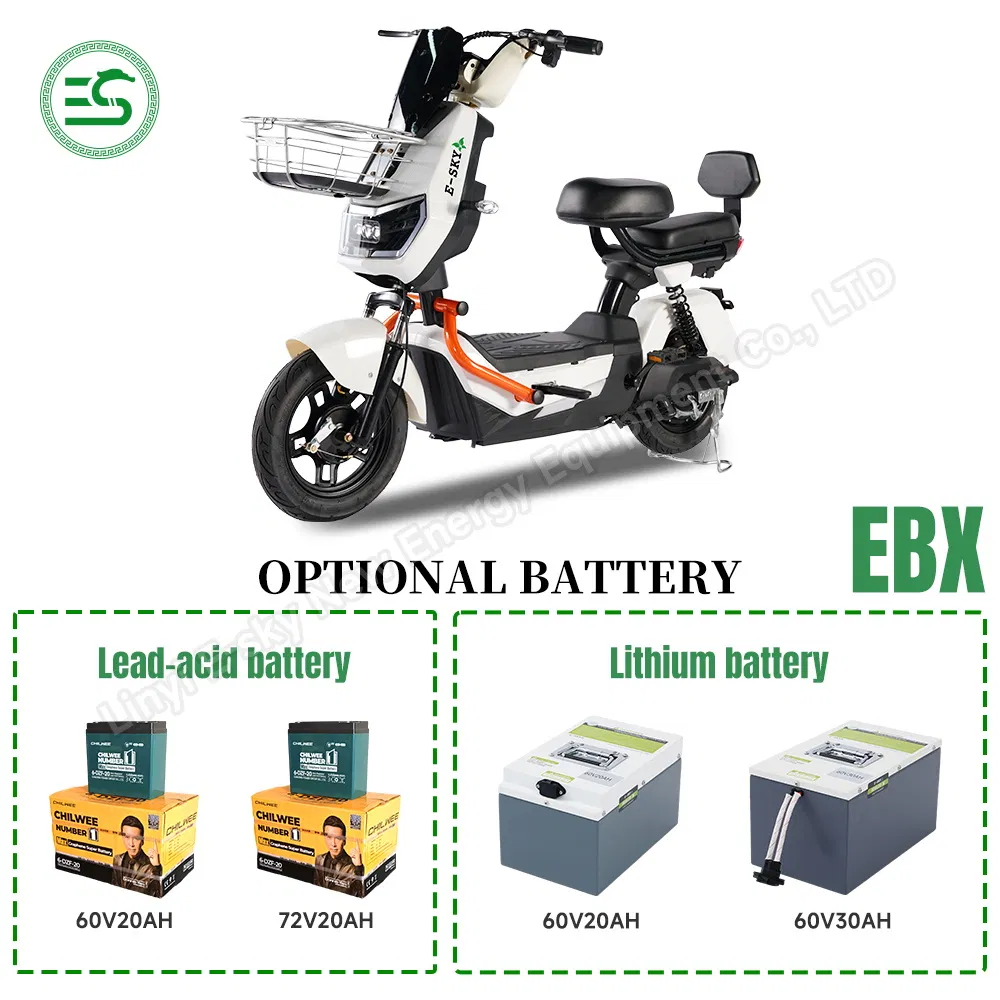 CE Coc 2025 Self Balance Electric Scooter Folding for Adult Kids Ebx