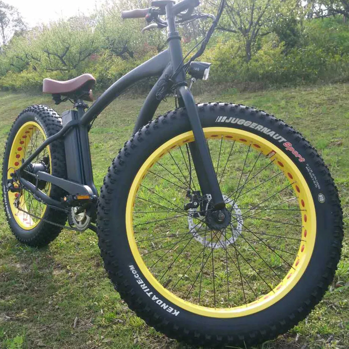 500W/750W Bafun Bafang Motor Fat Tire Mountain Wholesale Electric Bicycle