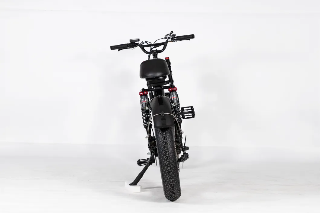 Electric Bike Photo 4