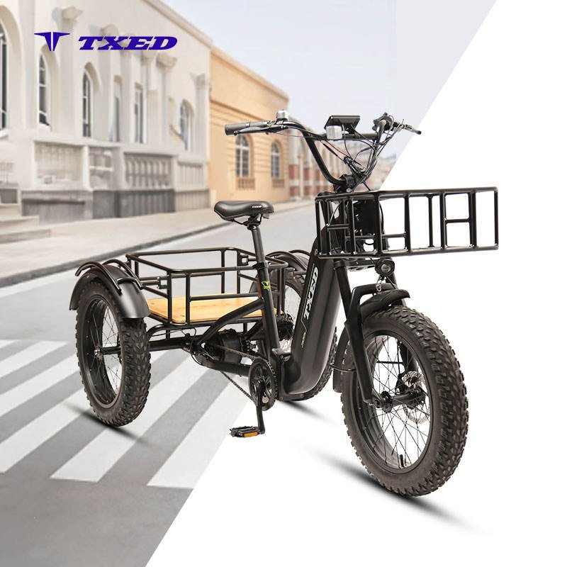 Txed Hot Sellinq 20"Inch Aluminum Frame Electric 3-Wheel Cargo Bike 48V 15ah Lithium Battery Powered Electric Tricycles