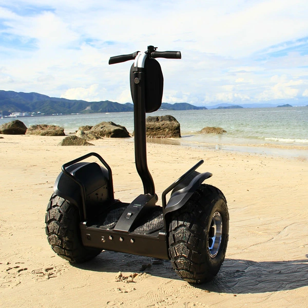 High Speed E-Scooter Brushless Self Balancing Electric Scooter 45 Degree