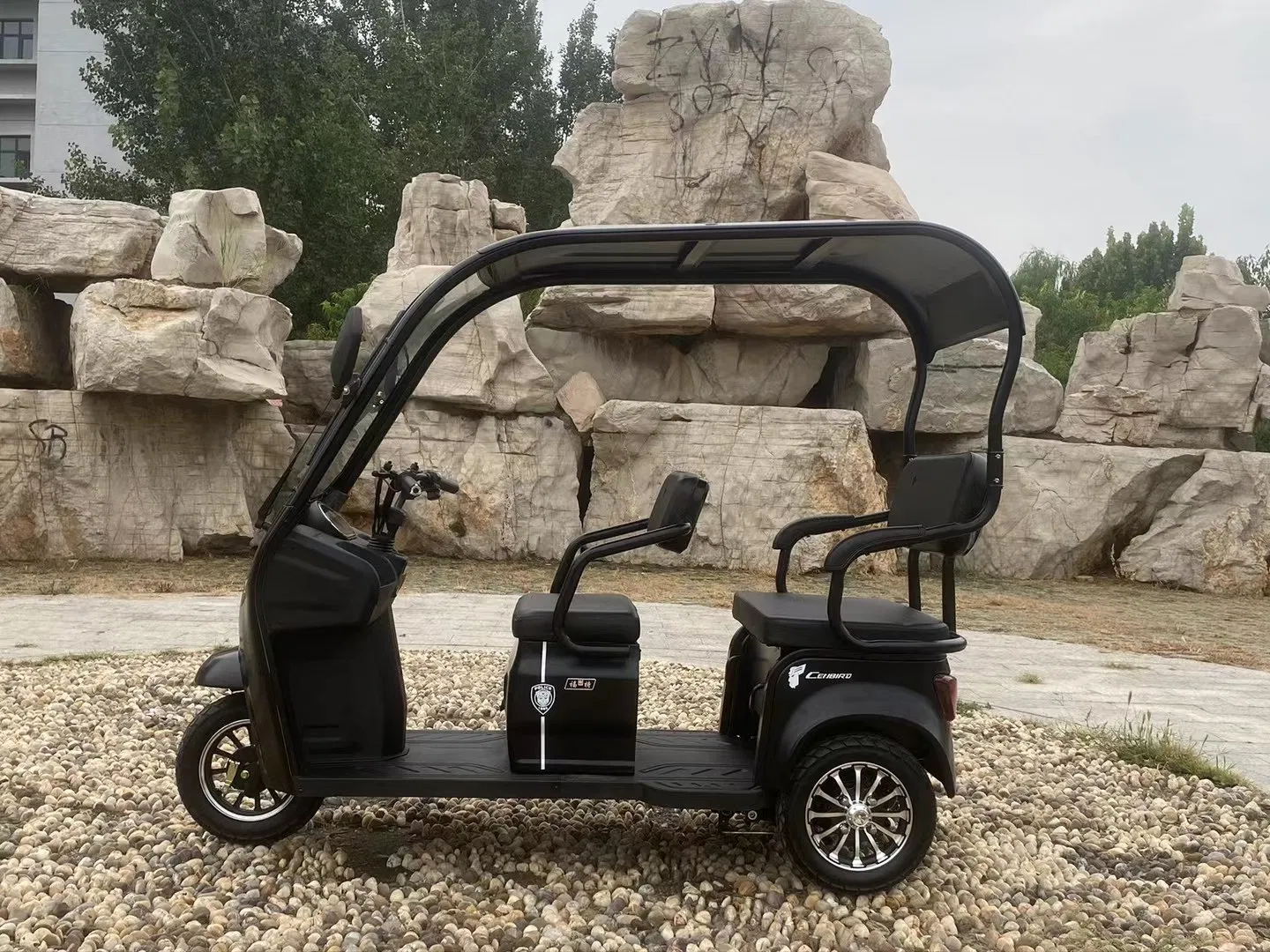 Hot-Sale Recreational Electric Tricycle fashion E Trike in City High Quality Three Wheelers for Passenger