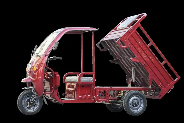 Electric Trike Side View