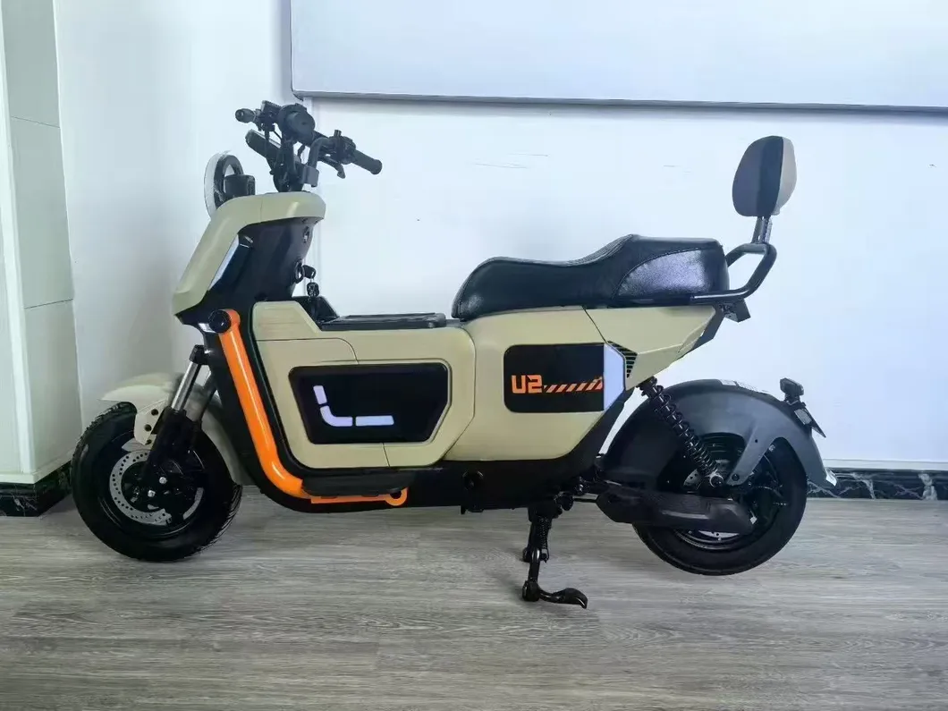 Electric Scooter Display 2