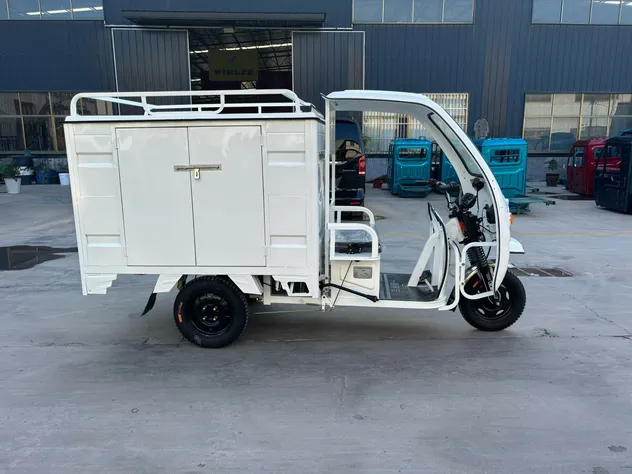 Electric Trike Rear View