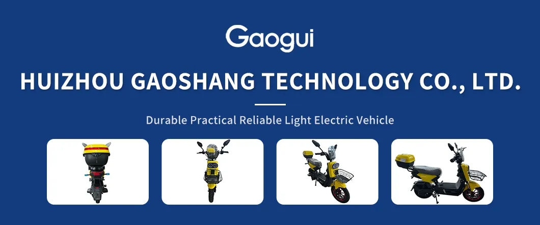 High Speed Cargo Electric Bike