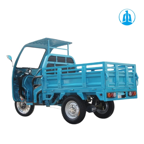Long Range 3 Wheeler Electric Trike 60V for Cargo Transport