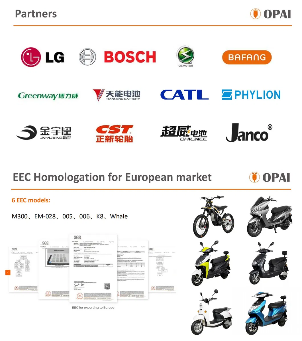 High-end Electric Vehicle