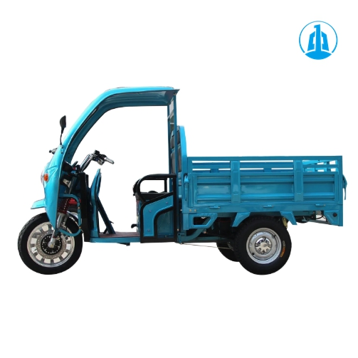 Long Range 3 Wheeler Electric Trike 60V for Cargo Transport