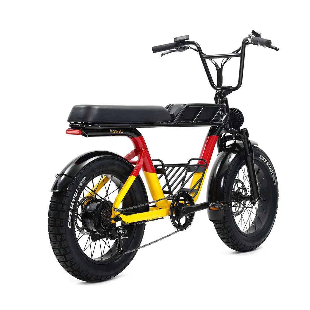 Luxury Sport Electric Fat Tyre Ebike
