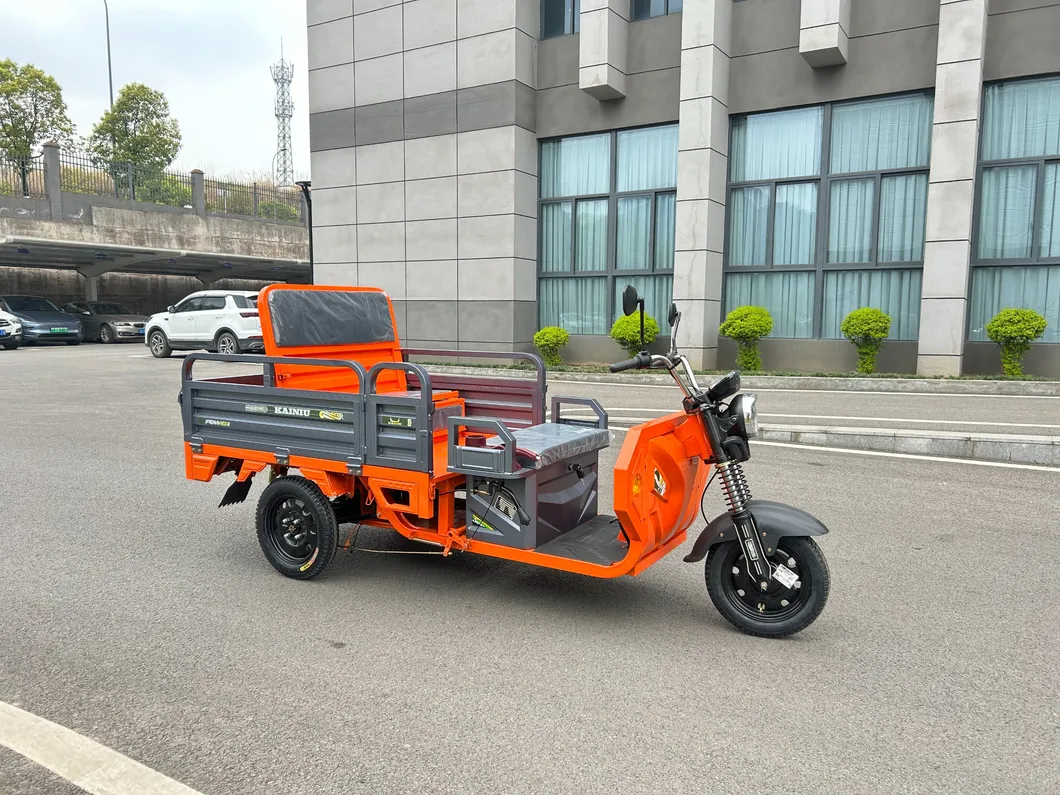 Electric Trike View 7