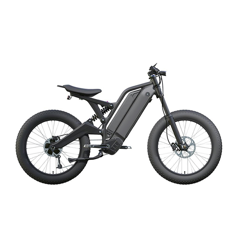 24 Inch 48V 15ah 10ah 9 Speed Cycle Aluminum Alloy Fat Tire 1000W Electric Bike