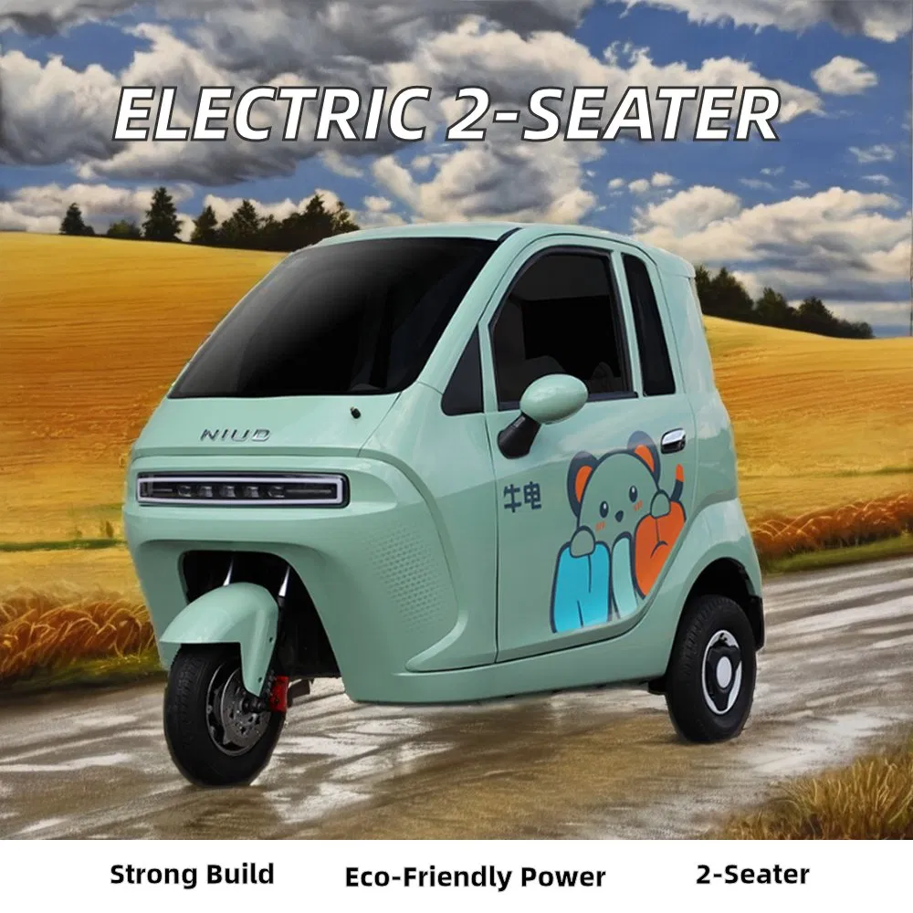 Wholesale 3 Wheel 2 Seat EEC Certified Electric Trike 90km Range Scooter for Adult