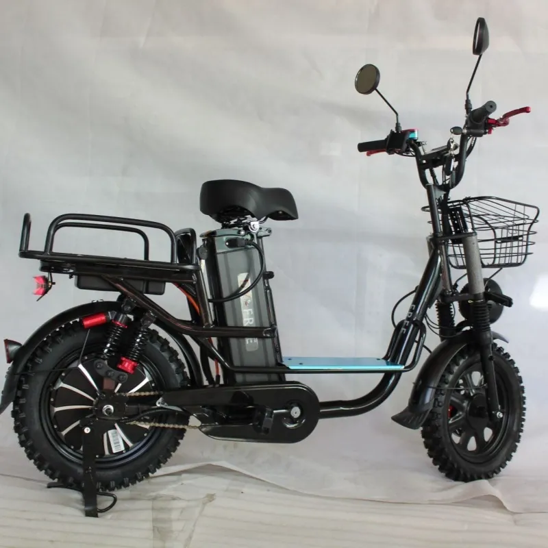 Electric Bike Details