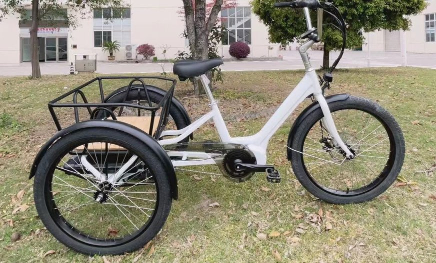 Custom Logo E Cargo Tricycle Wholesale Price Three Wheel Electric Tricycle 500W 750W Electric Bike Cargo Ebike Agn7084