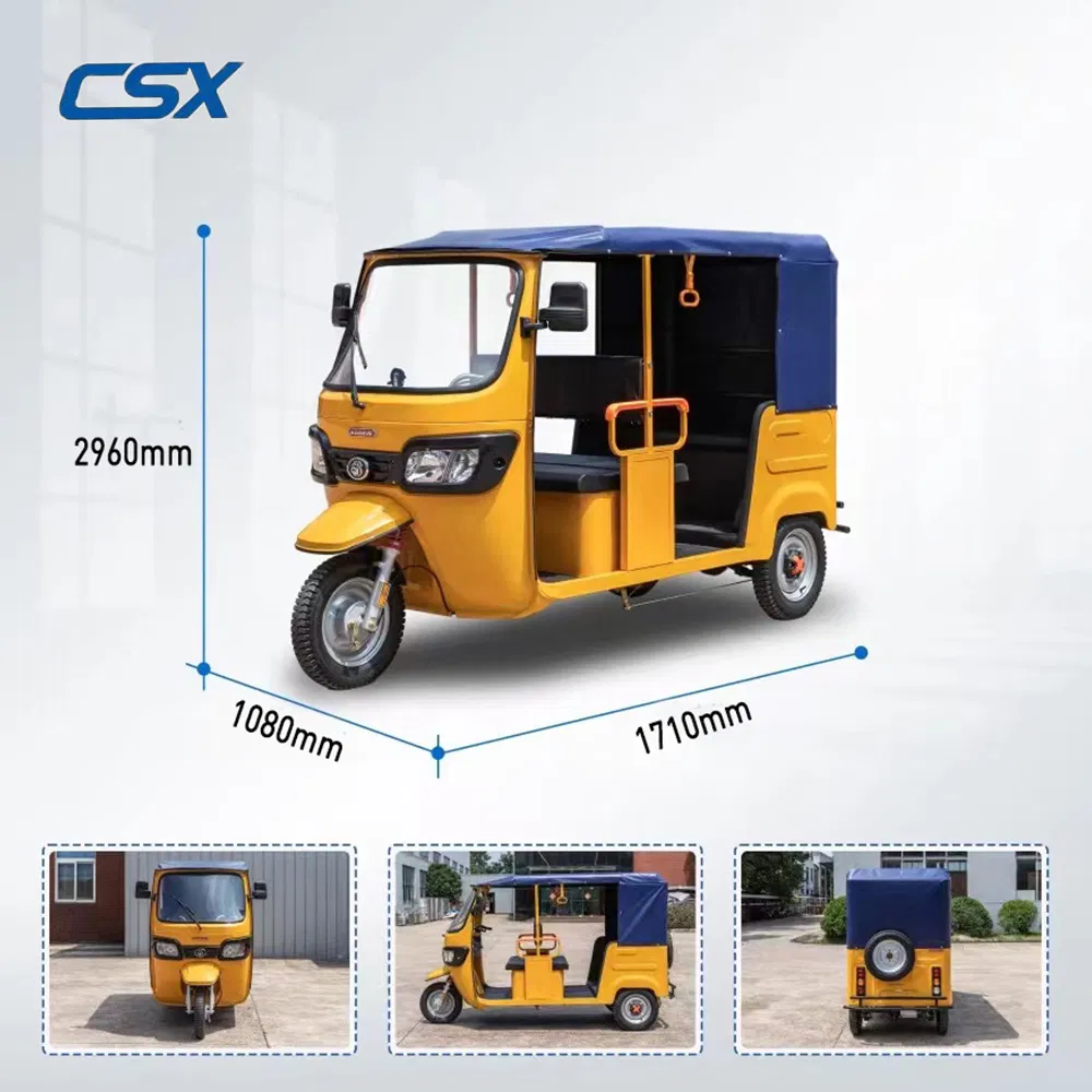 Park Stone Pavement Climbing Mountainous Areas Electric Trike for People and Cargo