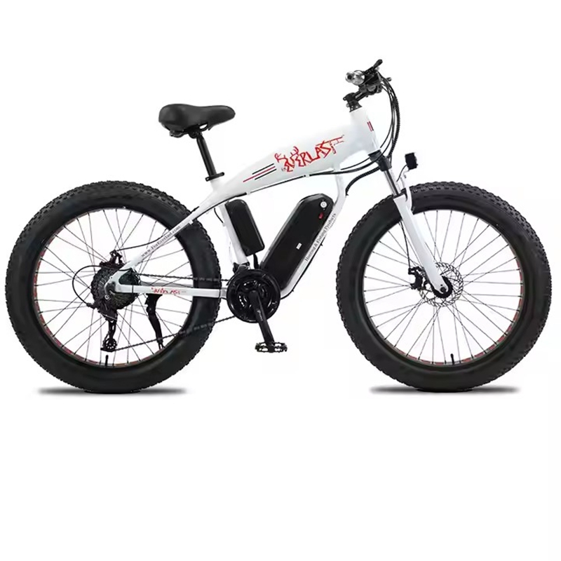 Wholesale 26 Inch Fat Electric Bicycle OEM Custom Fat Tire Electric Dirt Bike 1000W Mountain Ebike