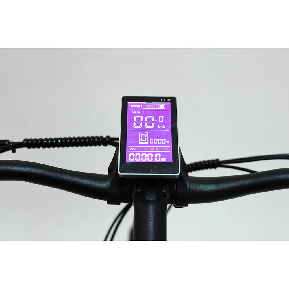 Versatile Electric Commuter Bike Ebike for All Terrains