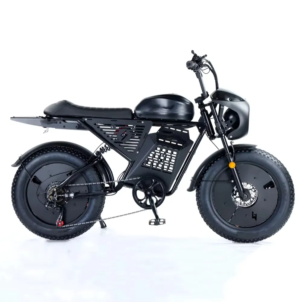 Electric Bike Photo 4