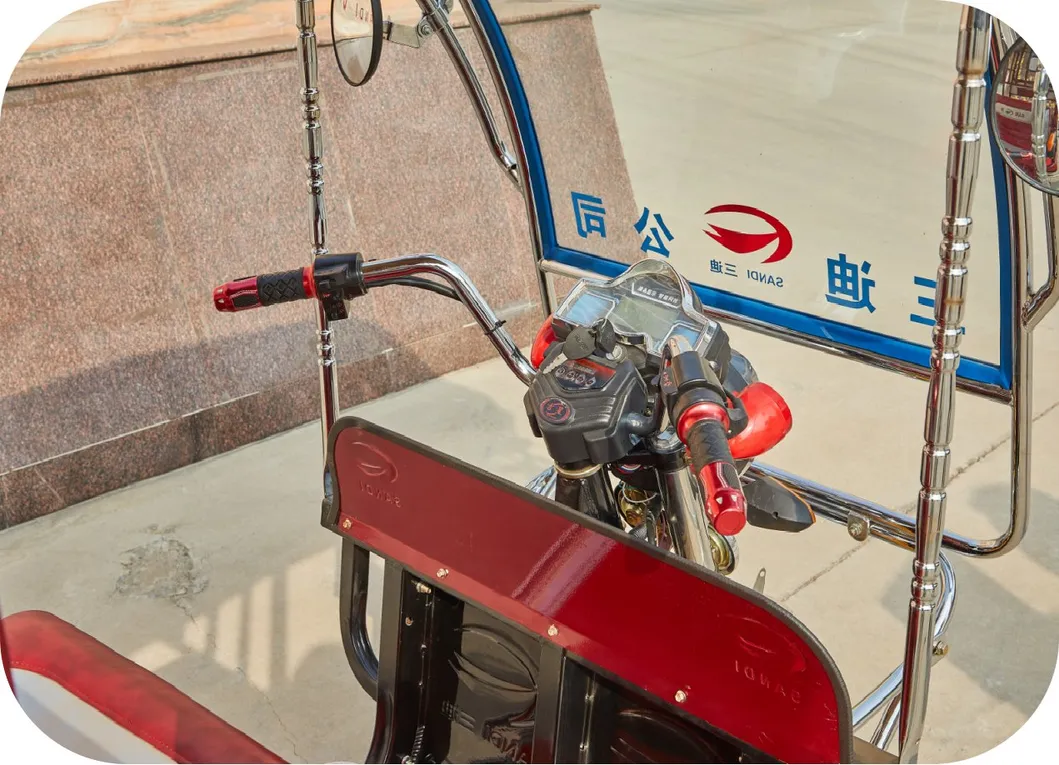 Electric Passenger Rickshaw Detail 3