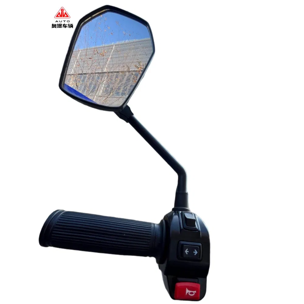 Safety Anti Rollover Three-Wheel Electric Trike for Industrial Parks