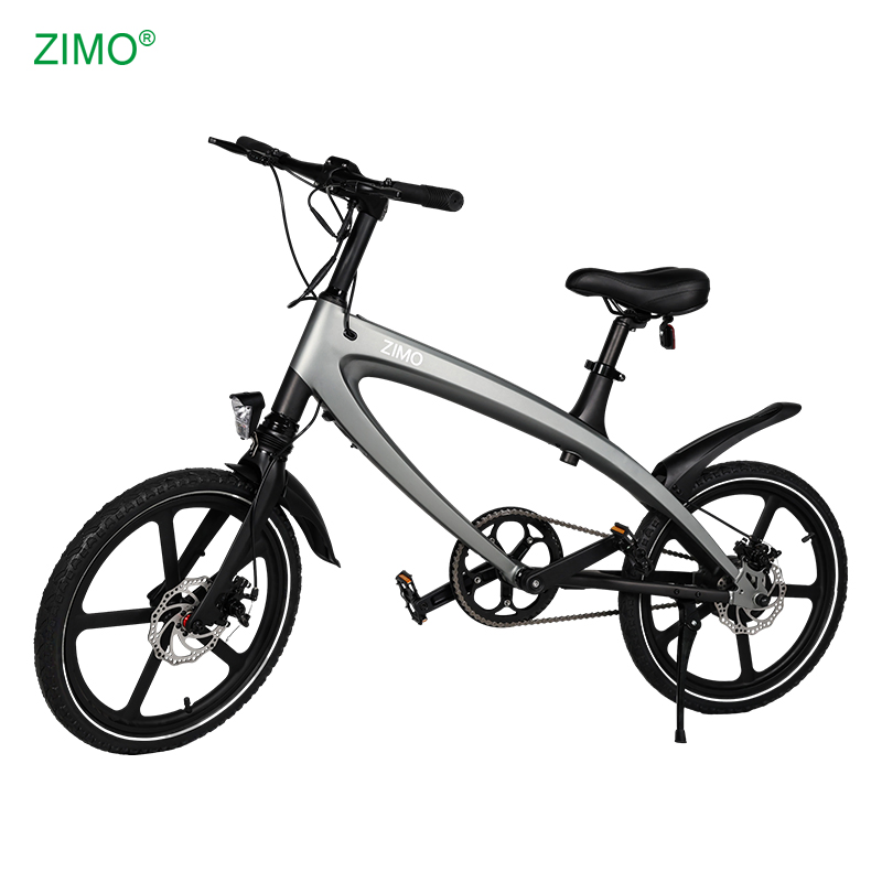 2026 New Popular 36V 240W Fat Tire Mountain Bike E City Bicycle Sports Pedal Assist Electric Bike