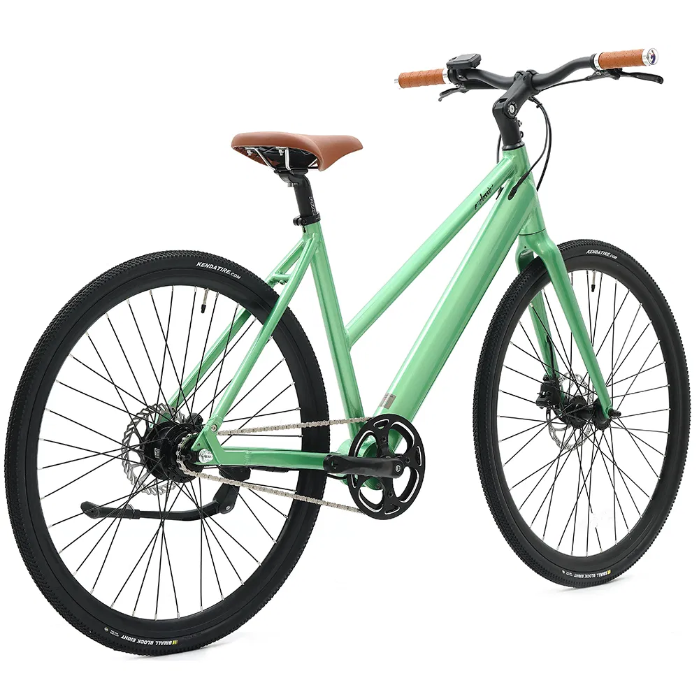 Light Weight Electric Bike