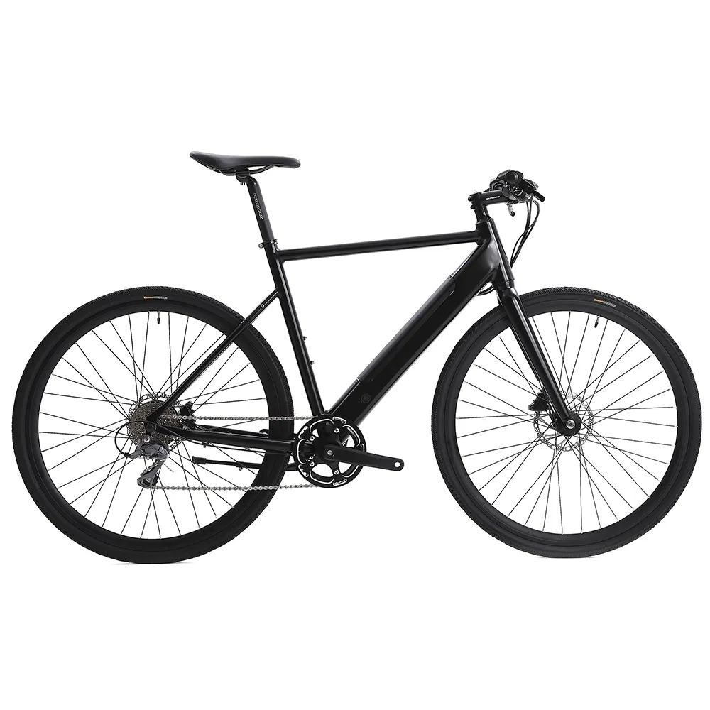 City Commuter Road Ebike