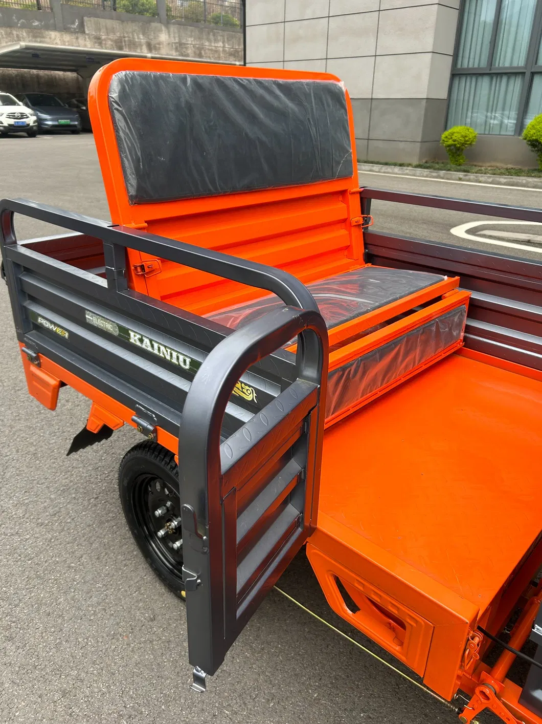 Electric Trike View 4