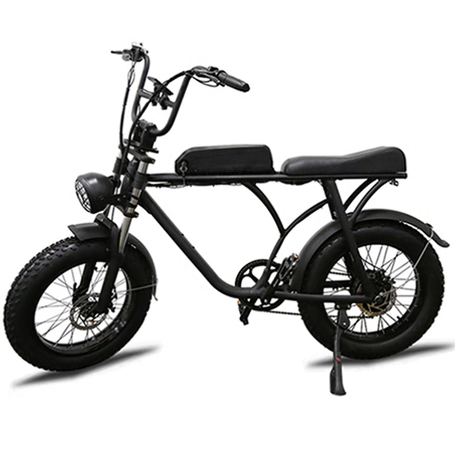 Brushless 20*4.0 Gravity Shengzhen, China Commuter Drit Electric E Bike with Factory Price