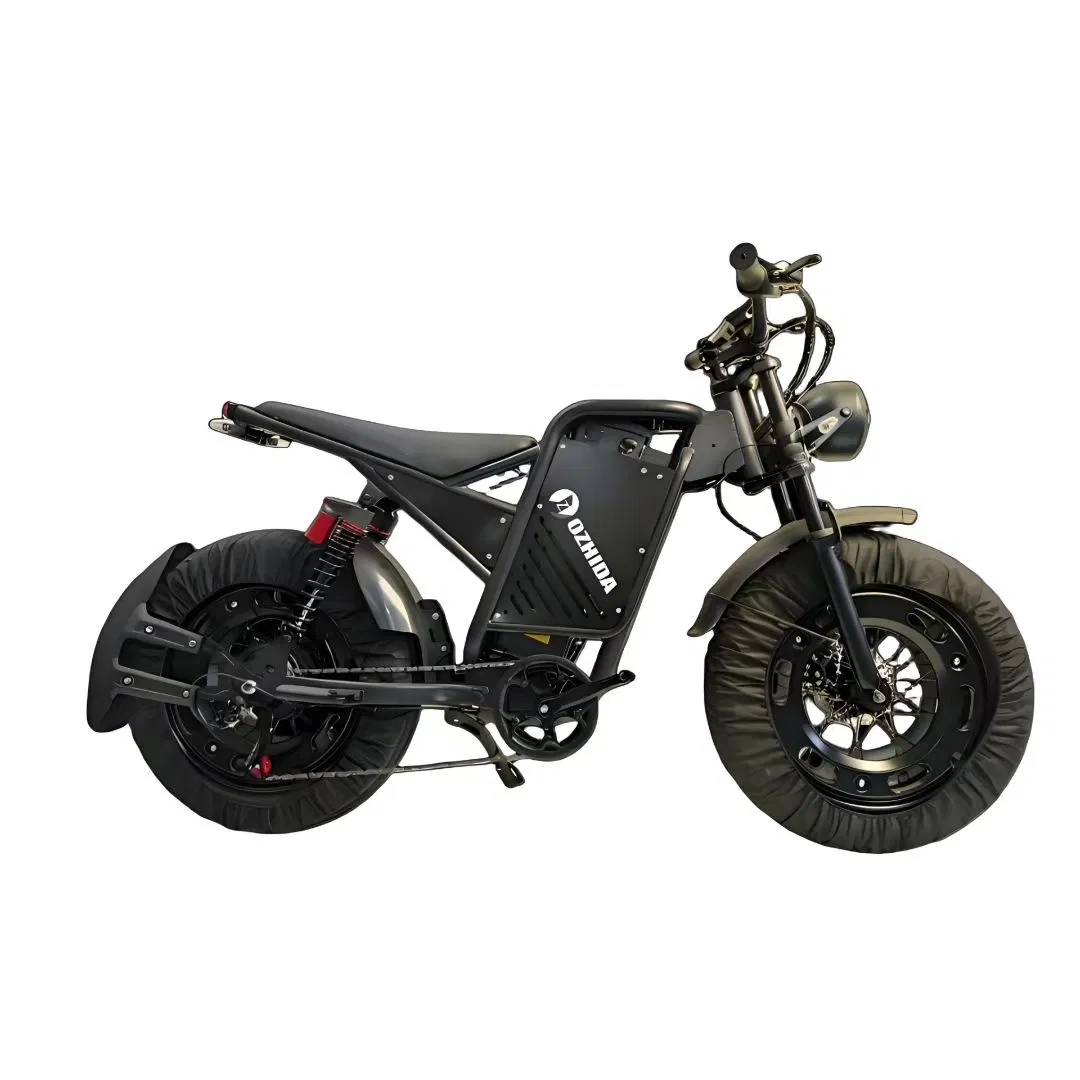 20" Black Knight 500W Lithium Battery Electric Snow Bike Fat Tire Electric Bicycle Hot Selling in Russia Ukraine